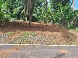 Land for Sale in Homagama