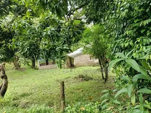 Prime Residential Land Badulla