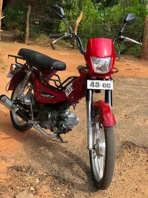 Singer Safari 2021
