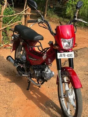 Singer Safari 2021