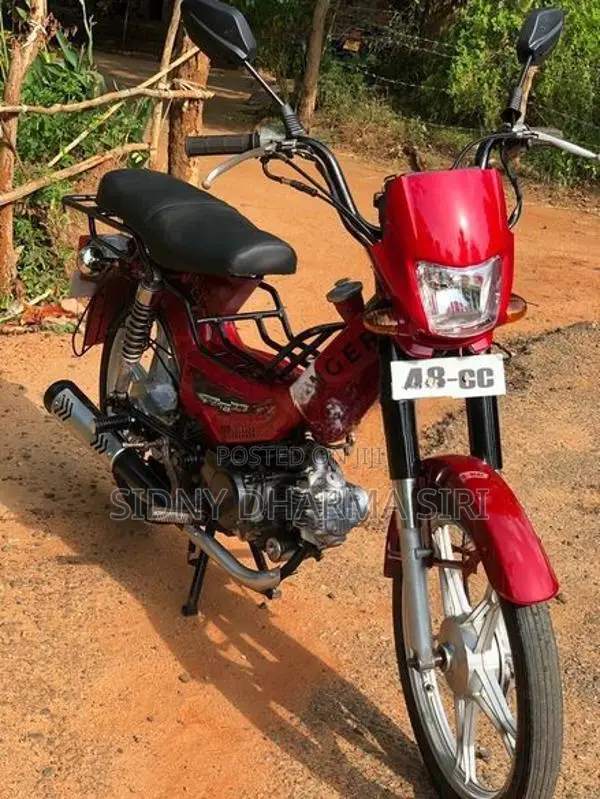 Singer Safari 2021