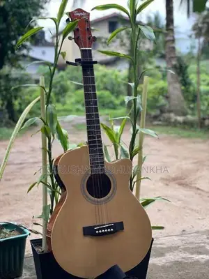 Acoustic Electric Guitar