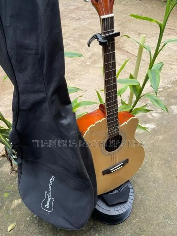 Acoustic Electric Guitar