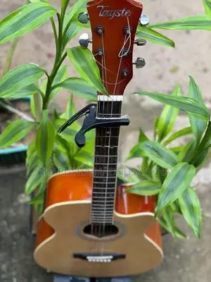 Acoustic Electric Guitar