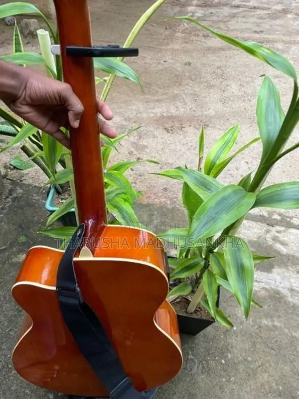 Acoustic Electric Guitar