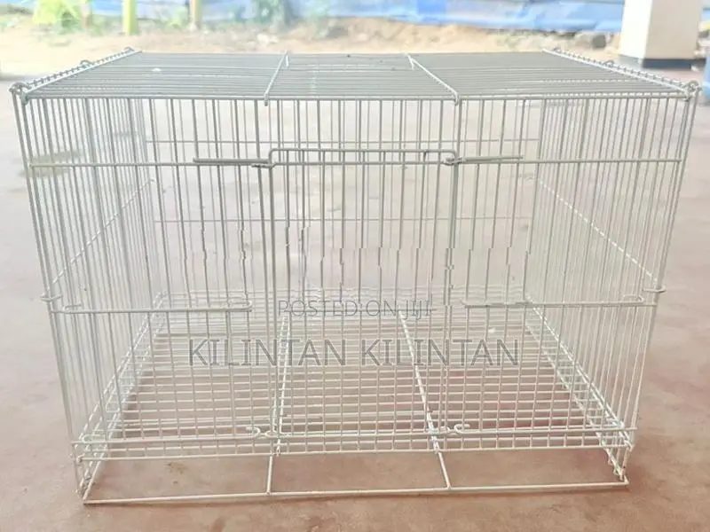 Birds Cage