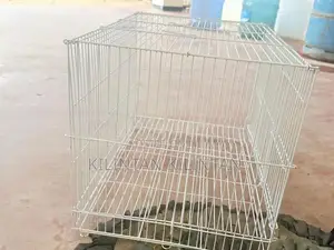 Birds Cage