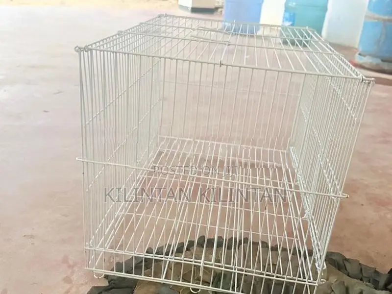 Birds Cage
