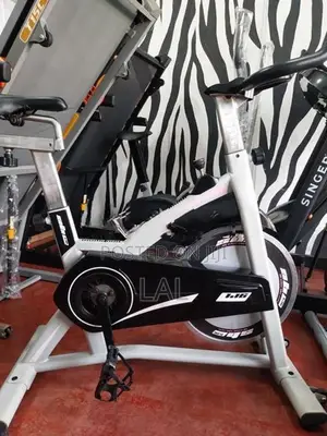 Spin Bike - BH