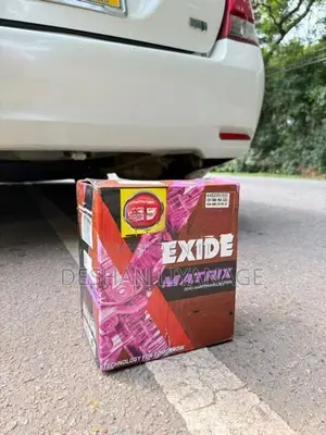 Exide 12V Battery