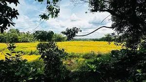 Kadawatha Residential Land