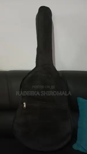 Acoustic Box Guitar
