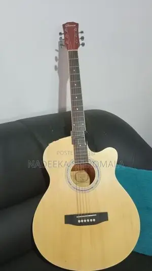 Acoustic Box Guitar