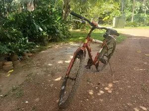 DSI Bike 26 Size