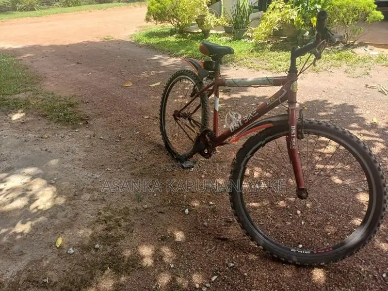 DSI Bike 26 Size