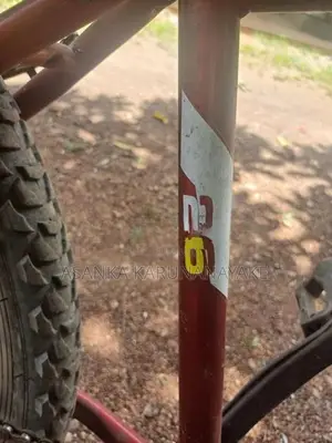 DSI Bike 26 Size