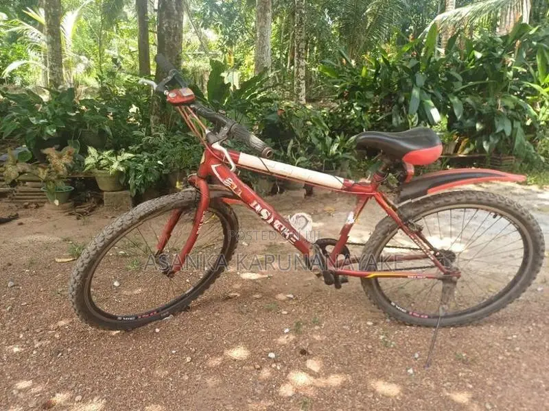 DSI Bike 26 Size