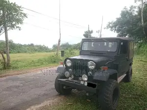 Mitsubishi 4DR 1968
