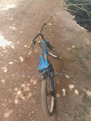 Grand Trixx Bicycle