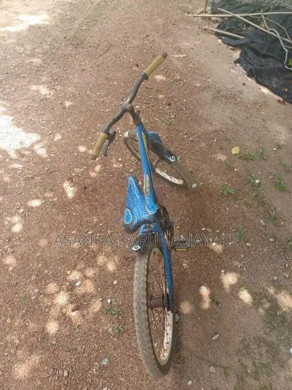 Grand Trixx Bicycle