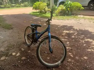 Grand Trixx Bicycle