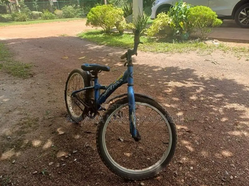 Grand Trixx Bicycle