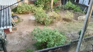 Land for Sale Ratmalana