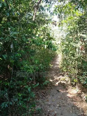 Beliatta, 534 Perches of Land for Sale
