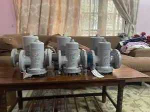 Basket Filter/strainer Simplex