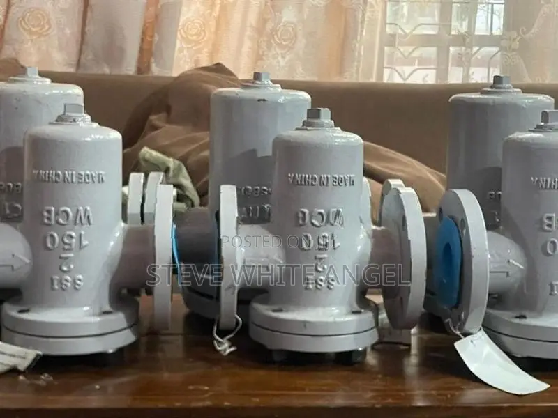 Basket Filter/strainer Simplex
