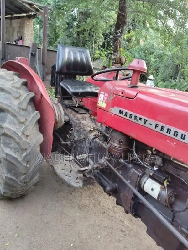 Massey Ferguson 1979