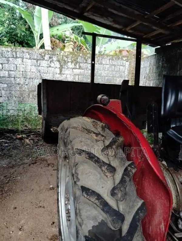 Massey Ferguson 1979