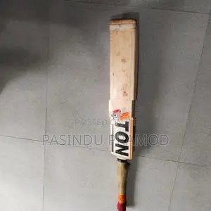 SS TON Cricket Bat