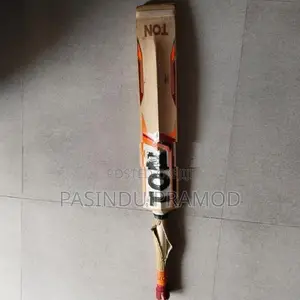 SS TON Cricket Bat