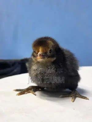 Sonali Chicken