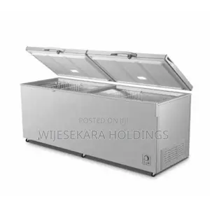Hisense 701 Liters Chest Freezer (Dual Door Setup)