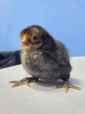 Sonali Chicken