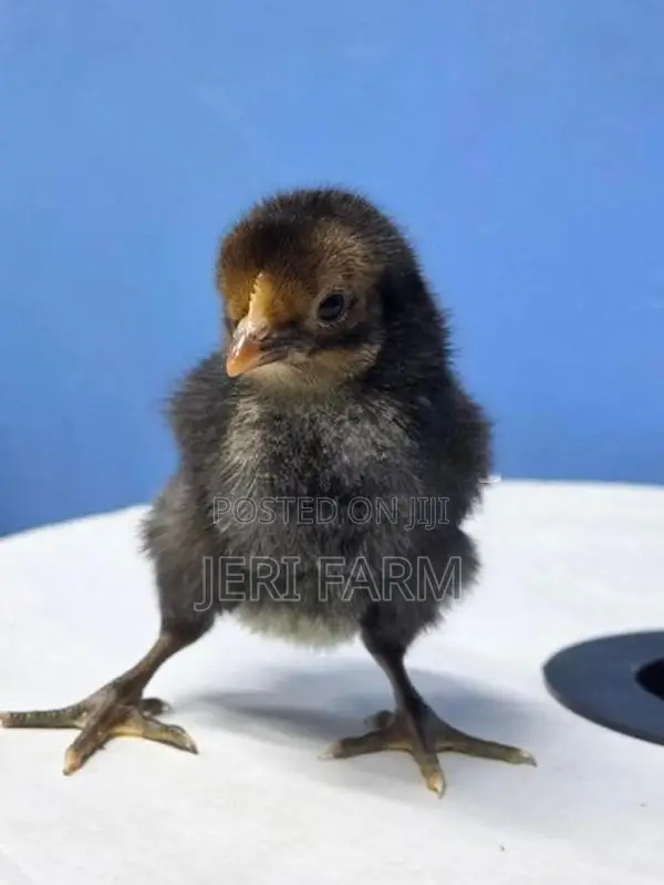 Sonali Chicken