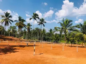 Pasyala Residential Land for Sale P3