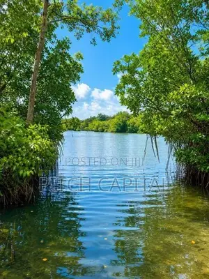 Most Valuable Land in Koggala