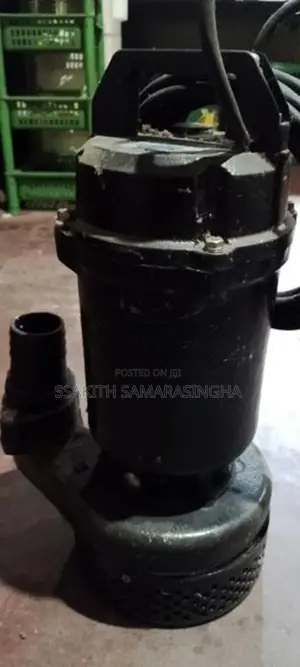 වතුර මෝටරය