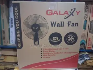 Galaxy Wall Fan