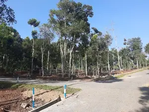 Land for Sale Kandy