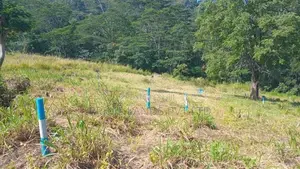 Land for Sale Pussellawa