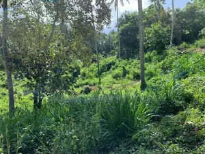 Land for Sale Gelioya