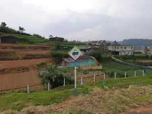 Land for Sale Nuwaraeliya