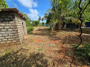 Land for Sale in Tellipalai