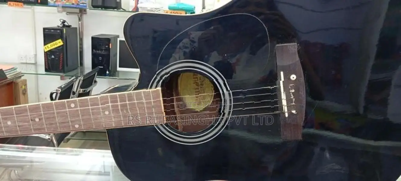 Suzuki Box Guitar