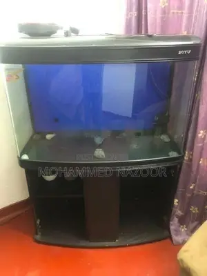 Fish Tank