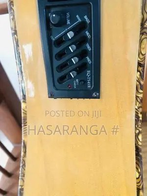 Fender Guitar